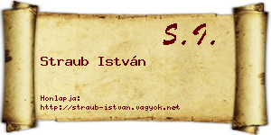 Straub István névjegykártya